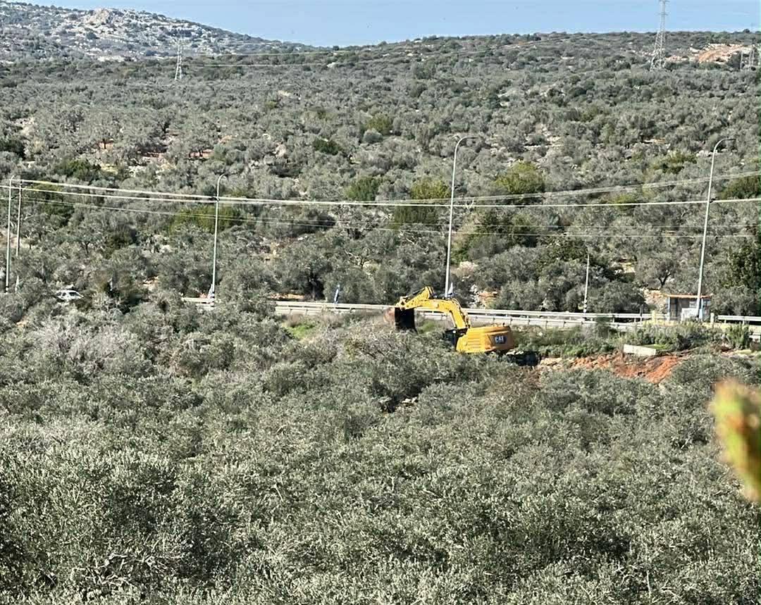 جرافة تابعة لجيش الاحتلال تقتلع أشجار زيتون معمرة في سلفيت